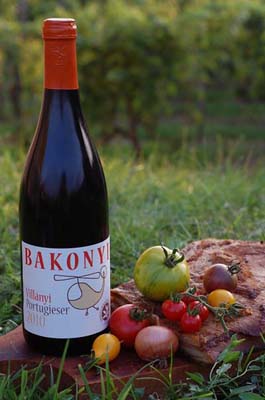 Villányi Portugieser